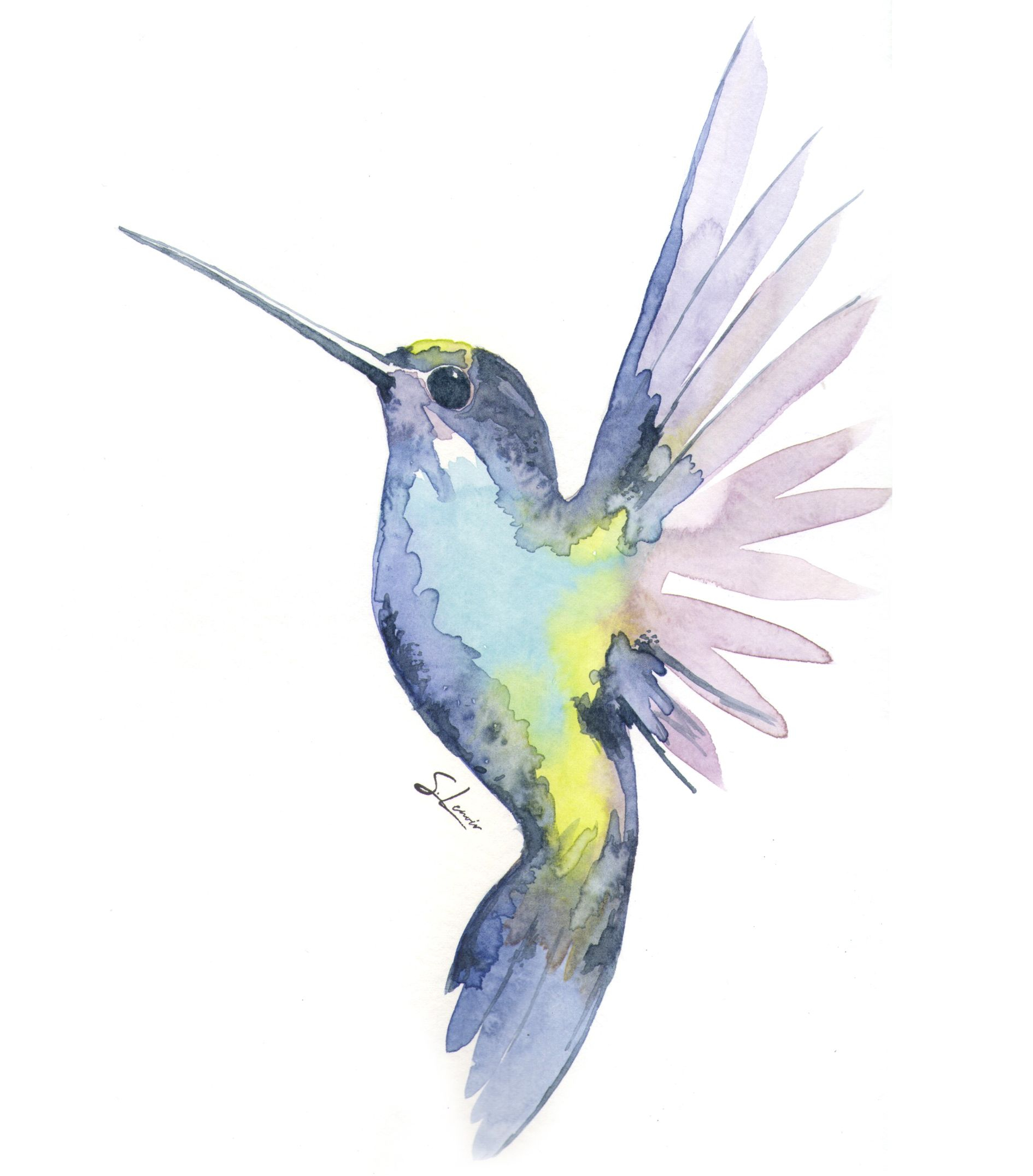 Colibrí, ven a tocar