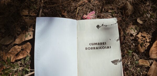 Cumbres Borrascosas