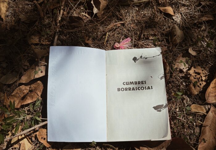 Cumbres Borrascosas